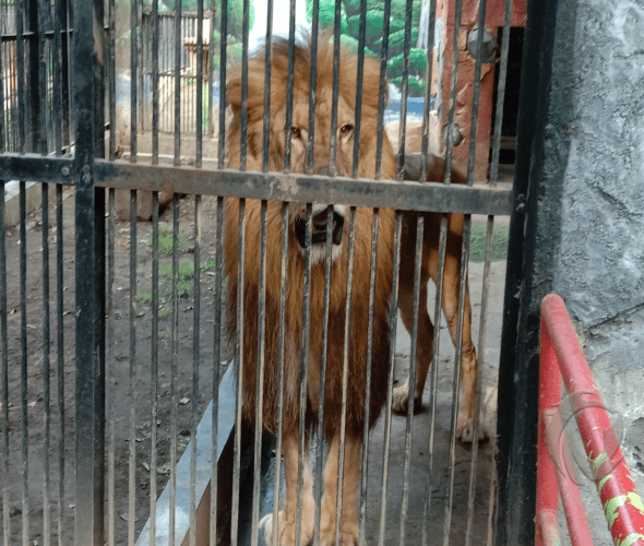 Tourism Park and Environmental Studies