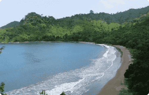 Meru Betiri National Park Image