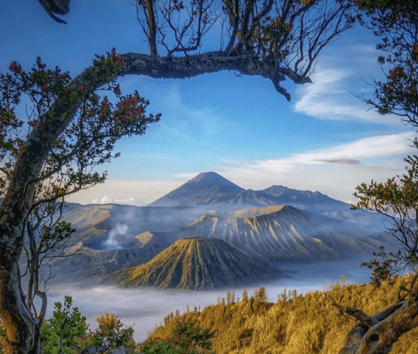 Mount Bromo